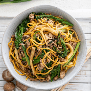 Pork & Mushroom Blended Ginger Stir Fry | Blenditarian